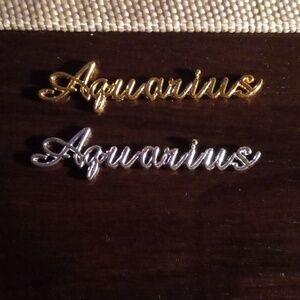 NEW AQUARIUS ZODIAC GOLD & SILVER TONE 3D METAL NAIL CHARMS (2PCS)